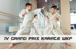 b_250_180_16777215_0_0_images_sukcesy_karate_5343f23h424.jpg